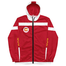 Load image into Gallery viewer, Men’s windbreaker