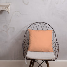 Load image into Gallery viewer, Basic Pillow