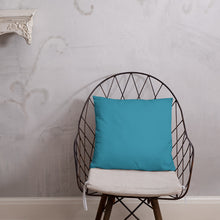 Load image into Gallery viewer, Basic Pillow