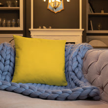 Load image into Gallery viewer, Basic Pillow