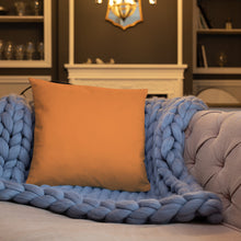 Load image into Gallery viewer, Basic Pillow