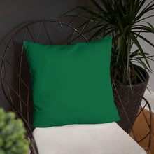 Load image into Gallery viewer, Basic Pillow