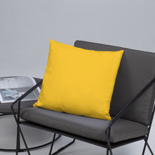 Load image into Gallery viewer, Basic Pillow