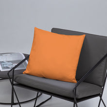 Load image into Gallery viewer, Basic Pillow