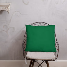 Load image into Gallery viewer, Basic Pillow