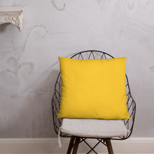 Load image into Gallery viewer, Basic Pillow