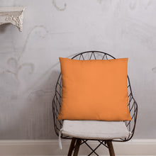 Load image into Gallery viewer, Basic Pillow