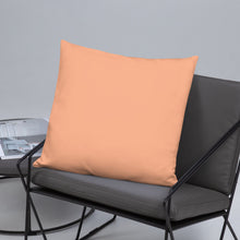 Load image into Gallery viewer, Basic Pillow