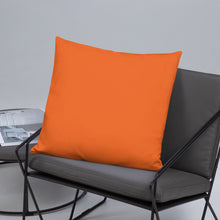 Load image into Gallery viewer, Basic Pillow