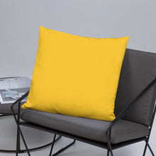 Load image into Gallery viewer, Basic Pillow