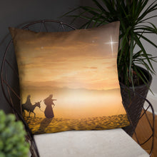 Load image into Gallery viewer, Basic Pillow
