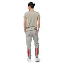 Load image into Gallery viewer, Unisex fleece sweatpants